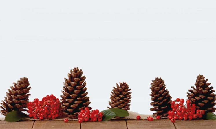 Flocked Artificial Christmas Trees: The Perfect Match for Seasonal Vegetable Gardening
